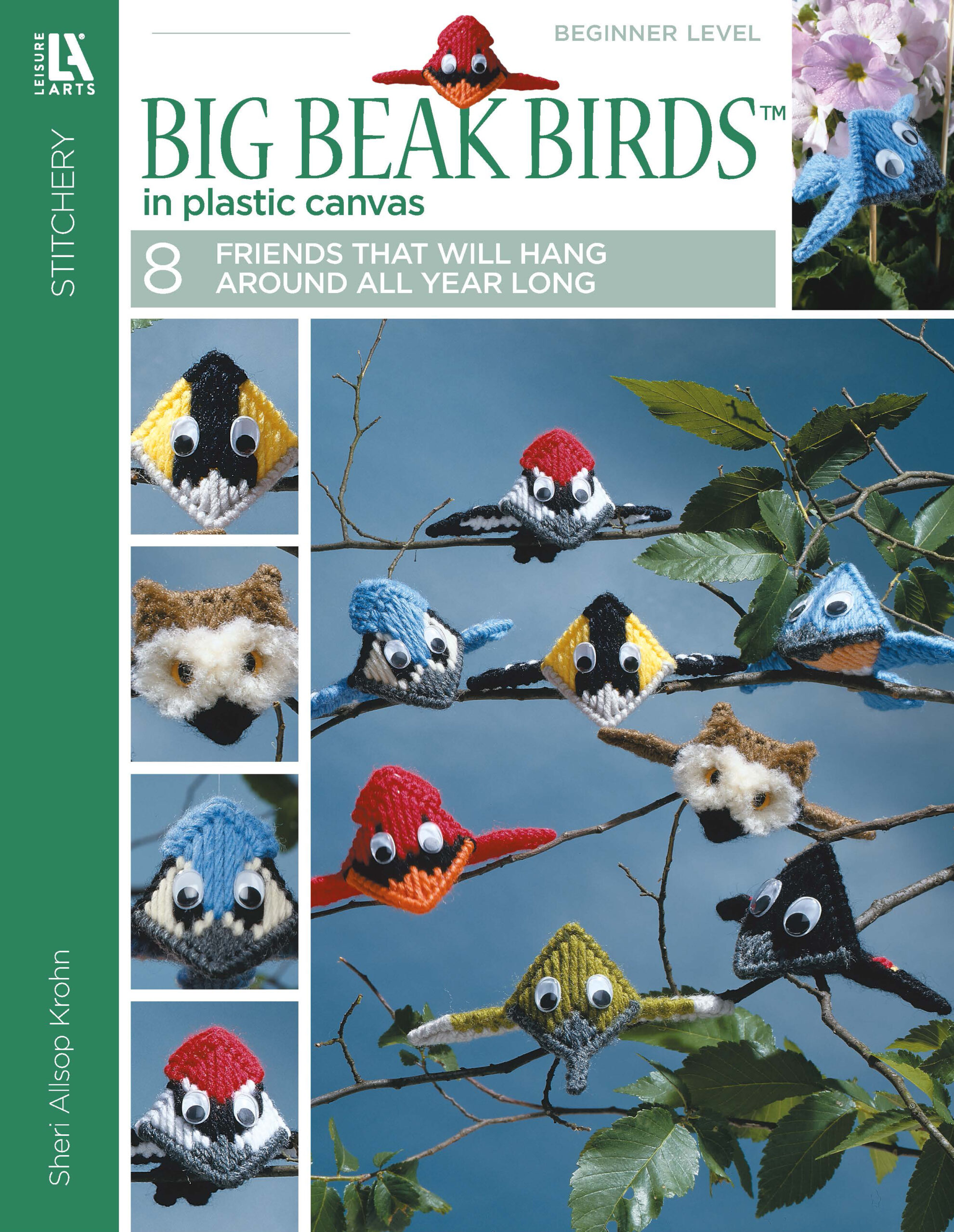 Big Beak Birds In Plastic Canvas