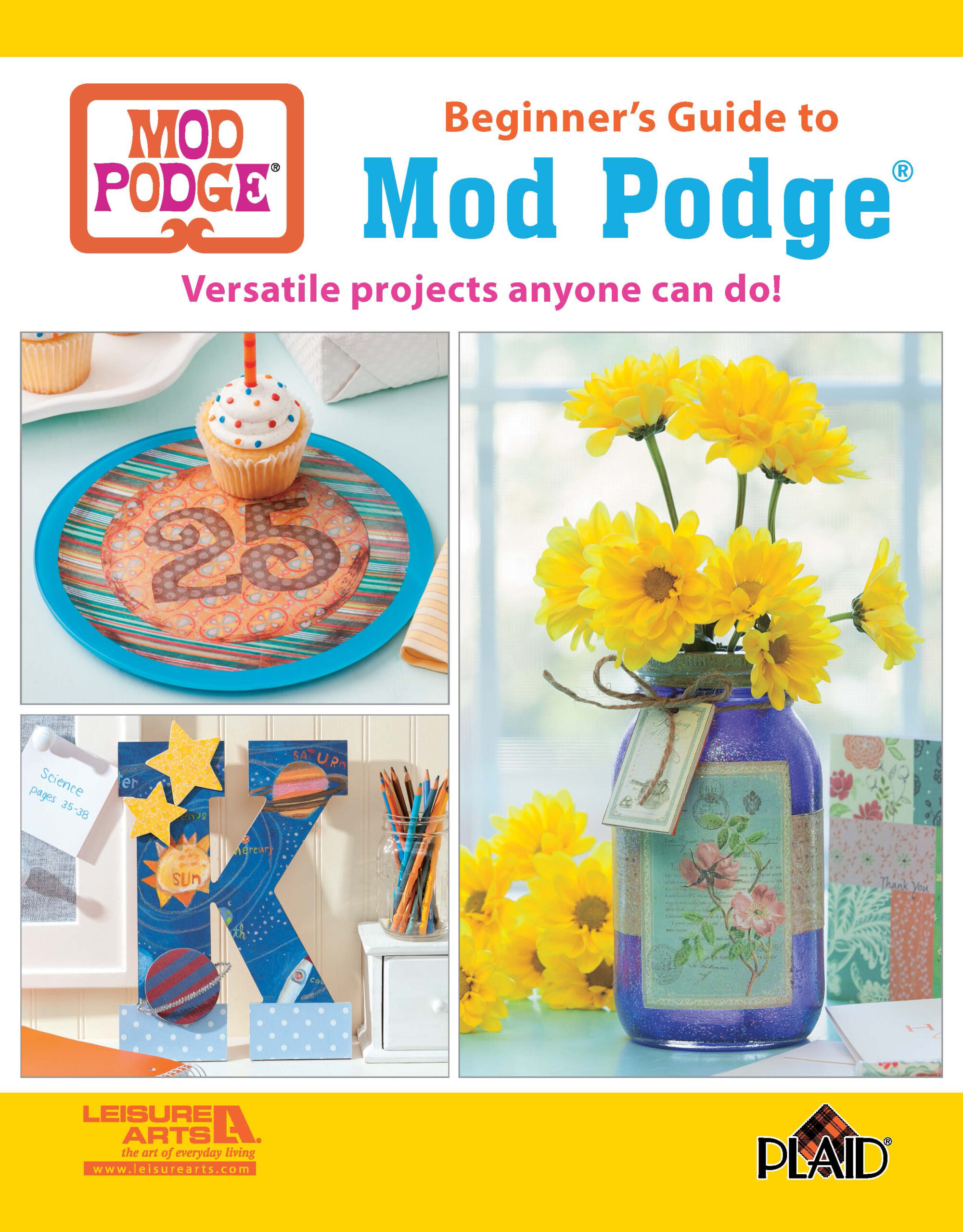 Leisure Arts Craft Beginners Guide to Mod Podge Craft Book