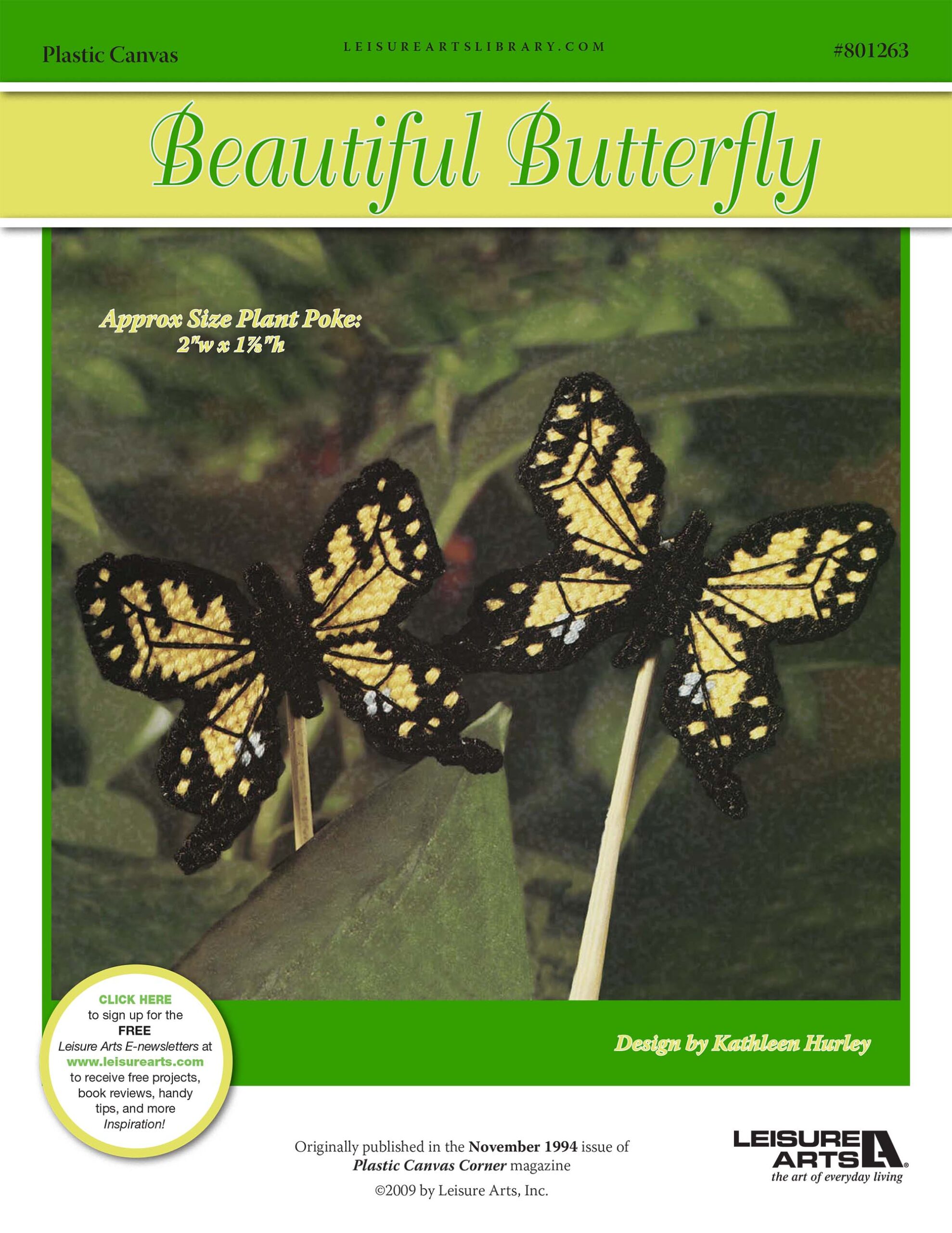 Leisure Arts Beautiful Butterfly Plant Poke Plastic Canvas ePattern