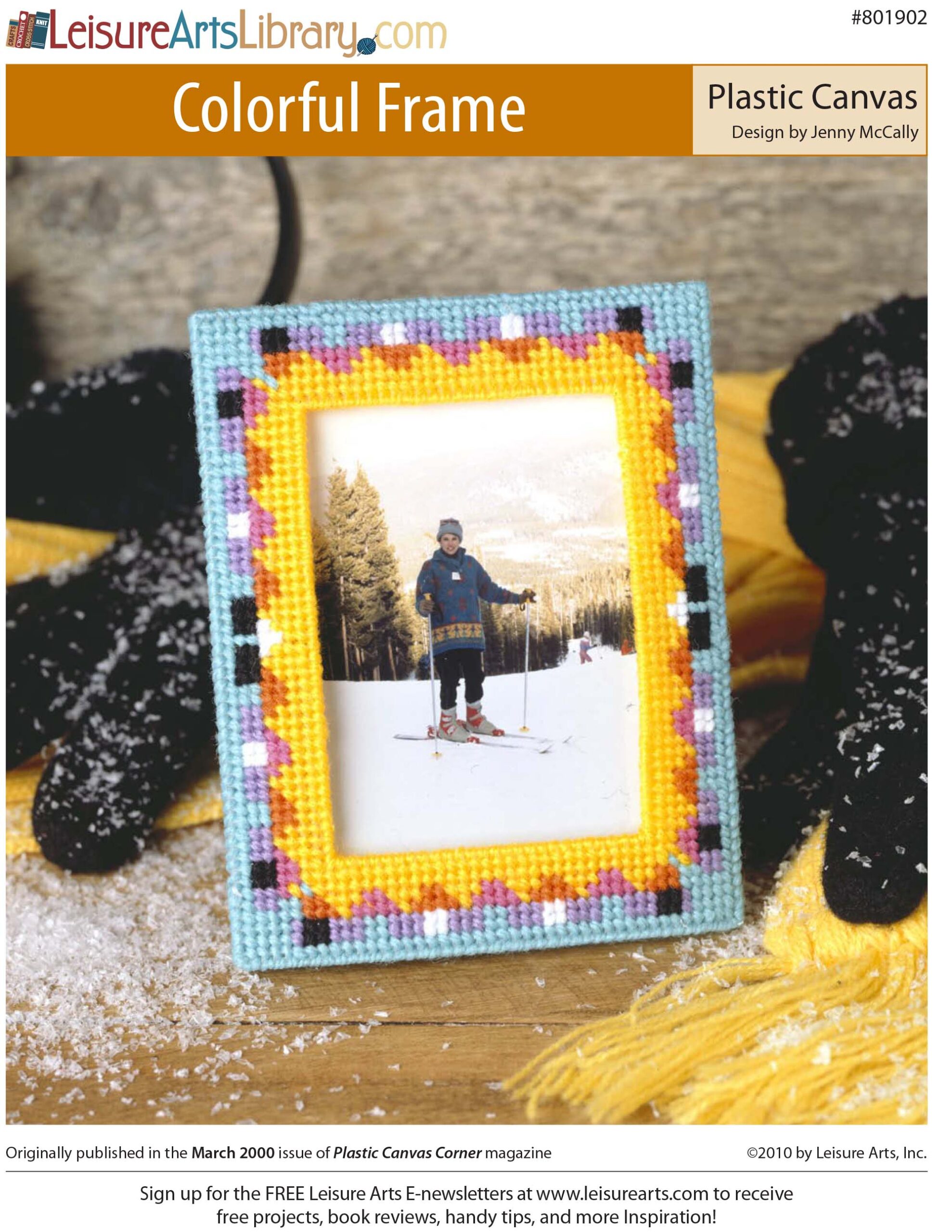 Leisure Arts Colorful Frame Plastic Canvas ePattern