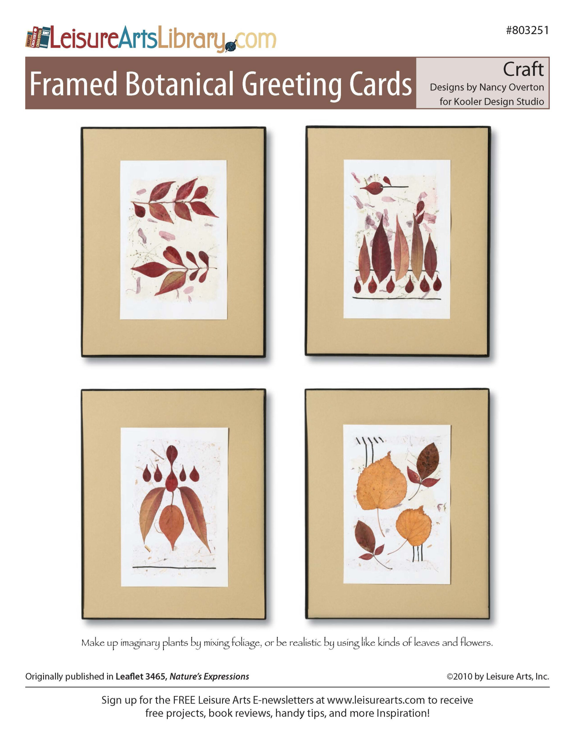 Leisure Arts Natures Expressions Framed Botanical Greeting Cards Craft ePattern