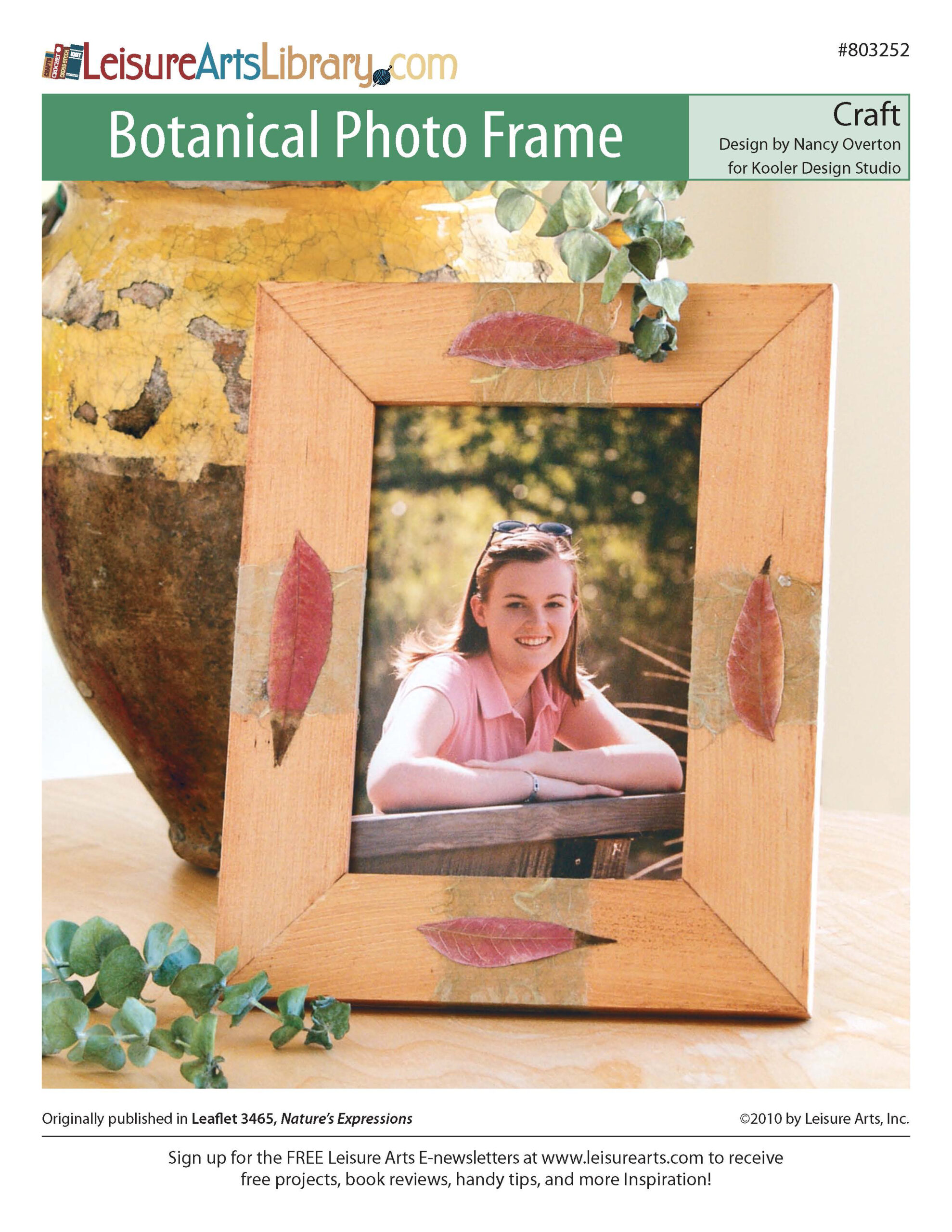 Leisure Arts Natures Expressions Botanical Photo Frame Craft ePattern