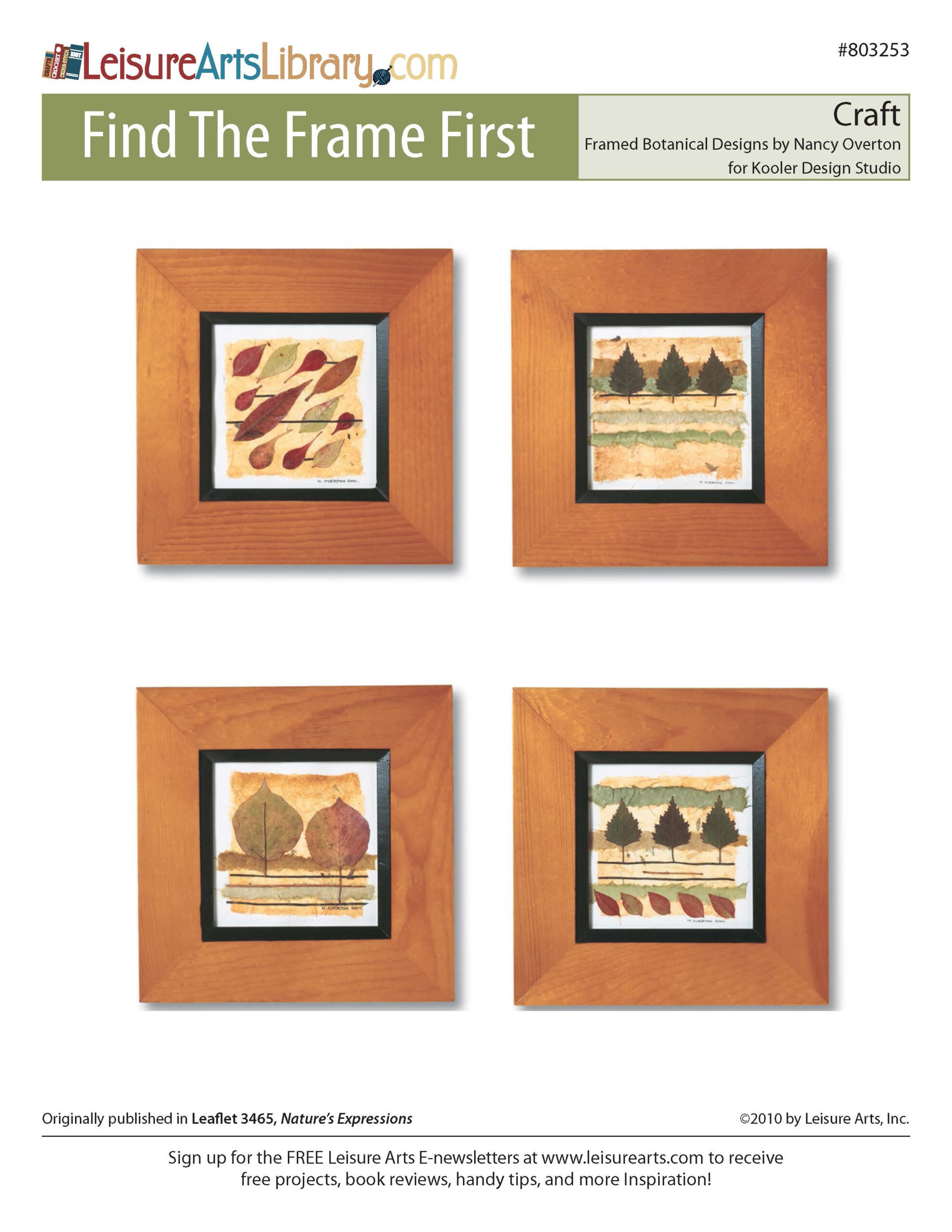 Leisure Arts Natures Expressions Find the Frame First Craft ePattern