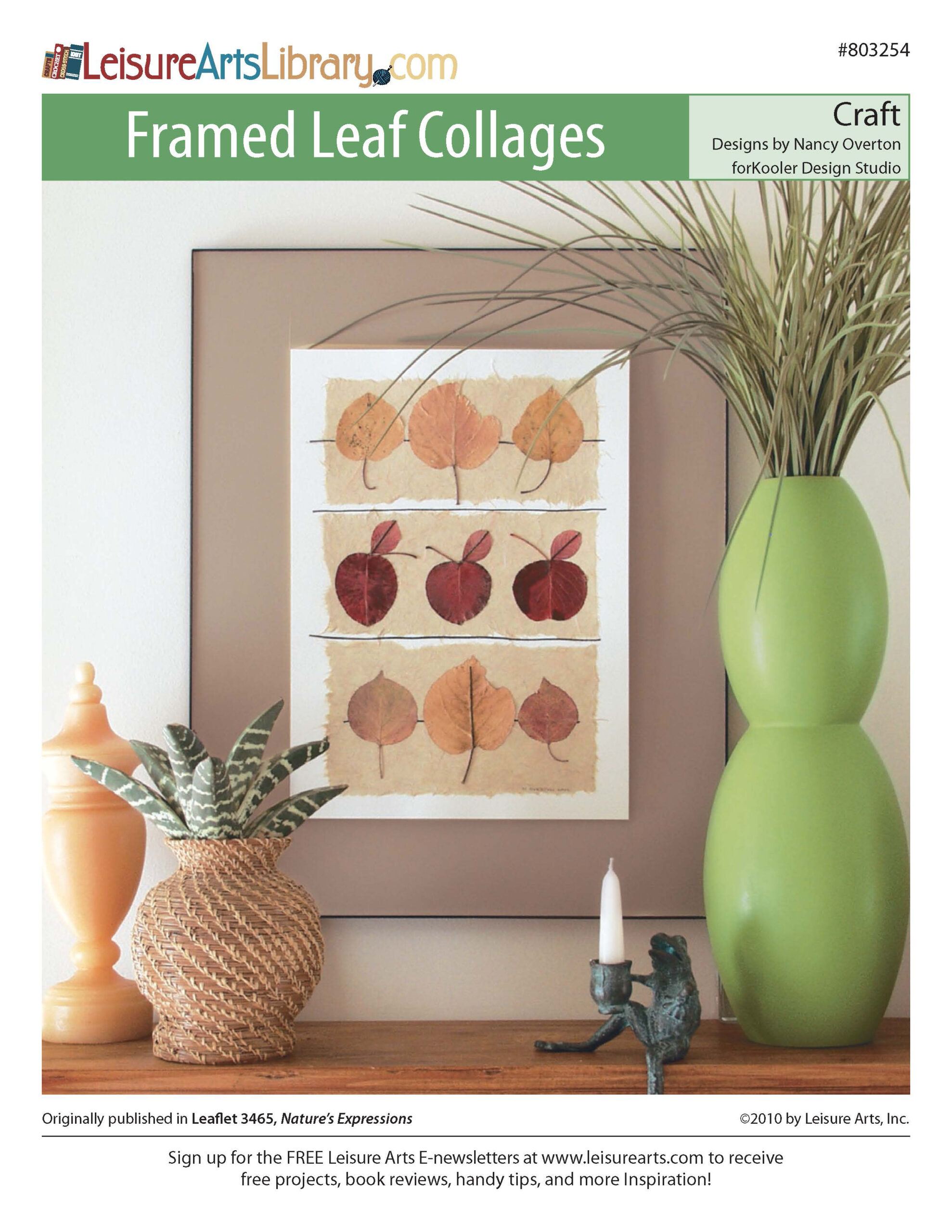 Leisure Arts Natures Expressions Framed Leaf Collages Craft ePattern