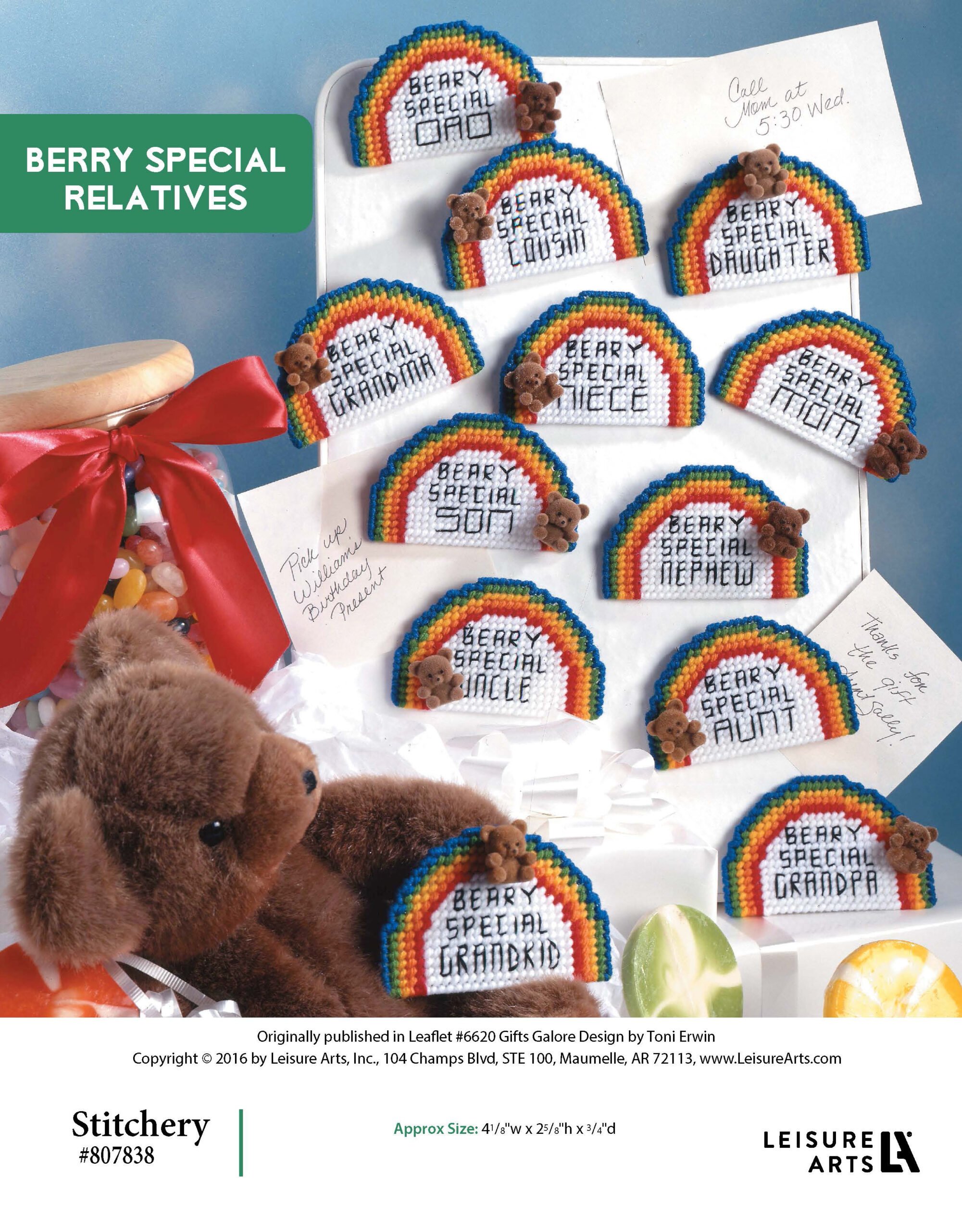 Leisure Arts Gifts Galore In Plastic Canvas  inch Beary inch Special Relatives Magnet ePattern