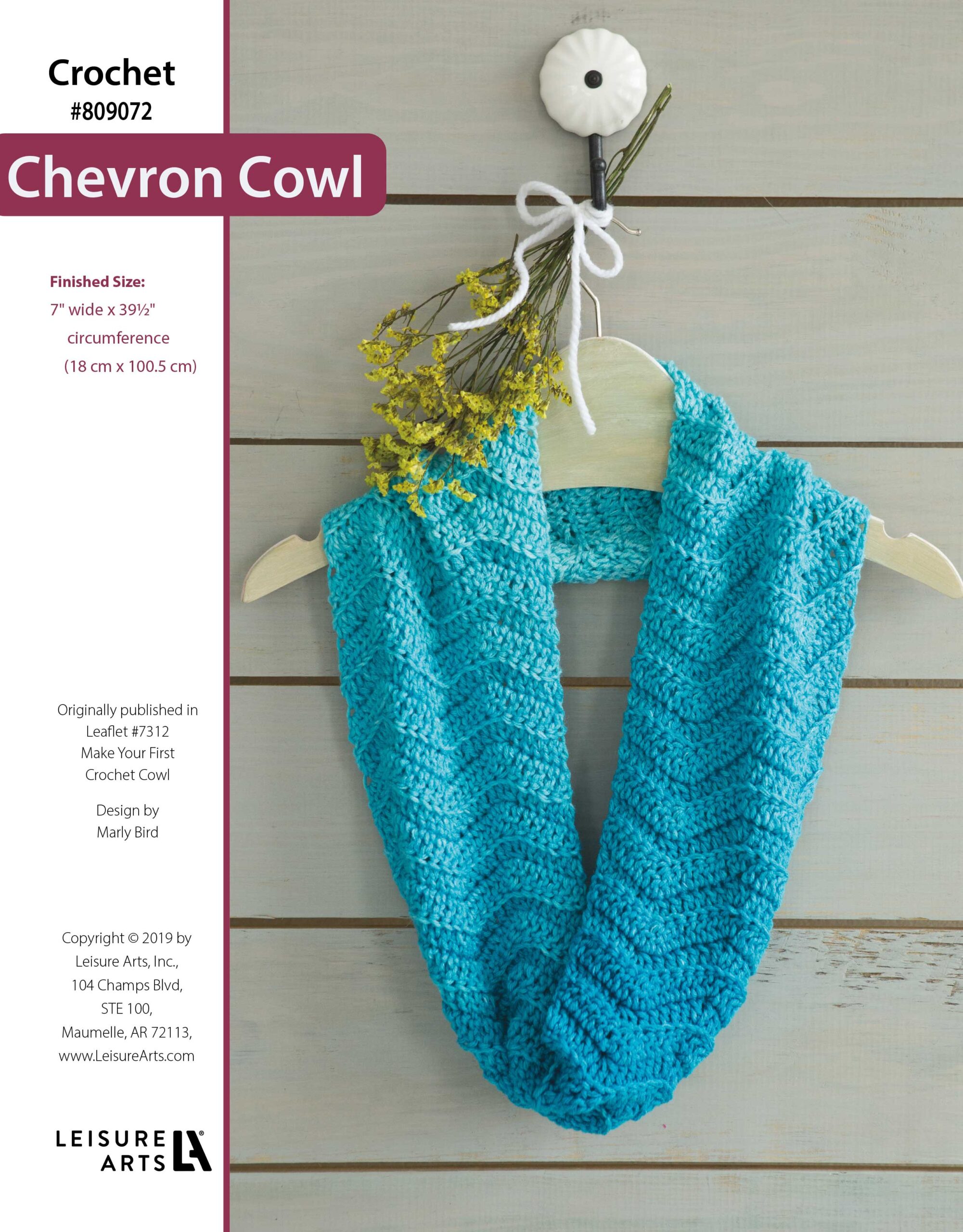 Leisure Arts Make Your First Crochet Cowls Chevron ePattern