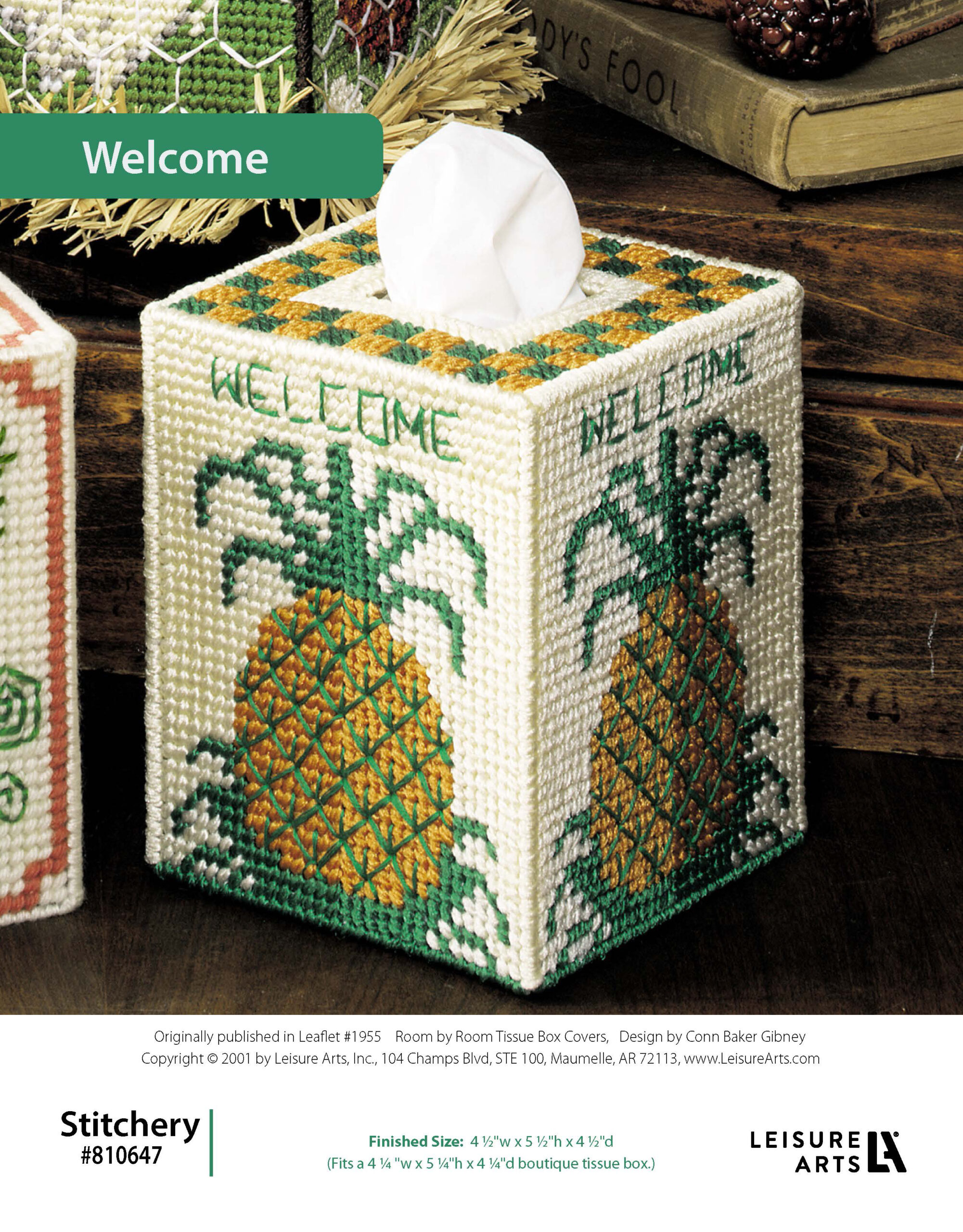 Leisure Arts Room By Room Tissue Box Covers Welcome Plastic Canvas ePattern